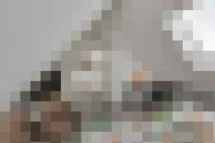 Zellingkade 36 Gouderak thumbnail 40