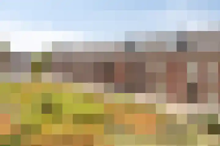 Zellingkade 36 Gouderak thumbnail 42