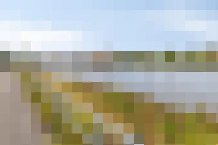 Zellingkade 36 Gouderak thumbnail 45