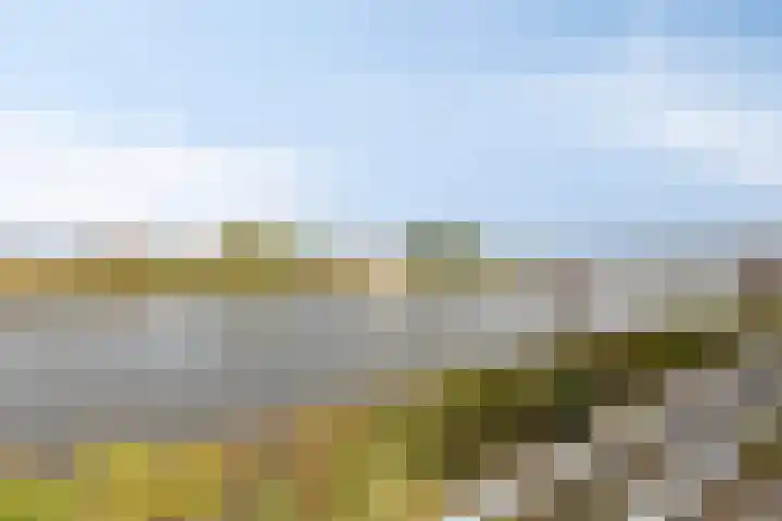 Zellingkade 36 Gouderak thumbnail 46