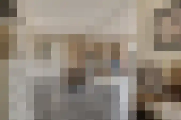 Zellingkade 36 Gouderak thumbnail 7