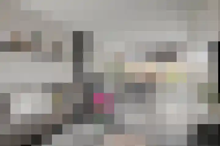 Zellingkade 8 Gouderak thumbnail 10