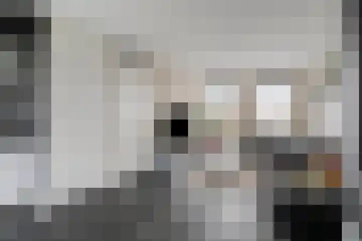 Zellingkade 8 Gouderak thumbnail 11