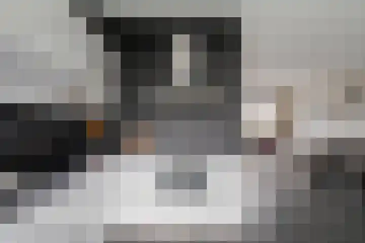 Zellingkade 8 Gouderak thumbnail 13