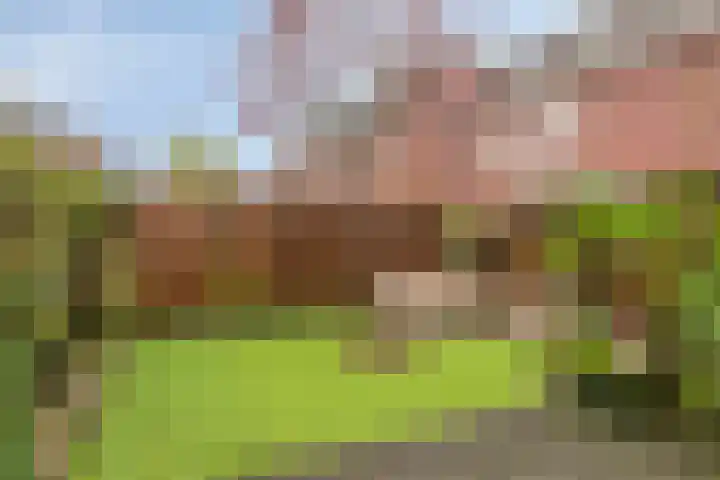 Zellingkade 8 Gouderak thumbnail 14
