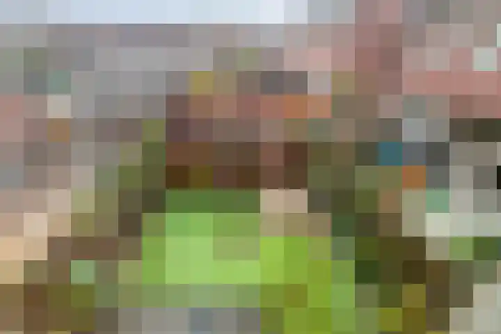Zellingkade 8 Gouderak thumbnail 16
