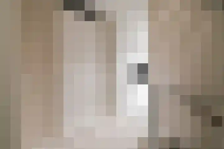 Zellingkade 8 Gouderak thumbnail 17