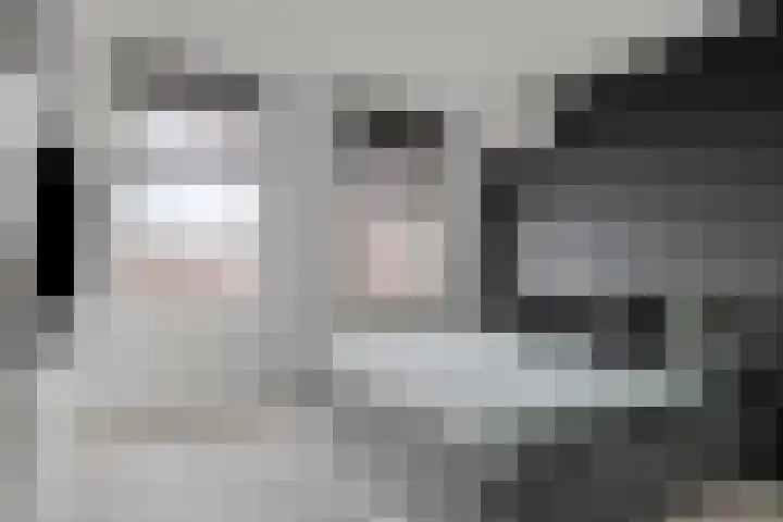 Zellingkade 8 Gouderak thumbnail 19