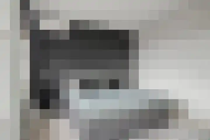 Zellingkade 8 Gouderak thumbnail 20
