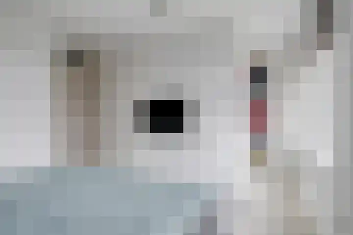 Zellingkade 8 Gouderak thumbnail 21