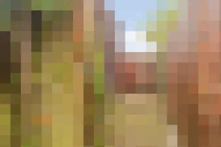 Zellingkade 8 Gouderak thumbnail 33
