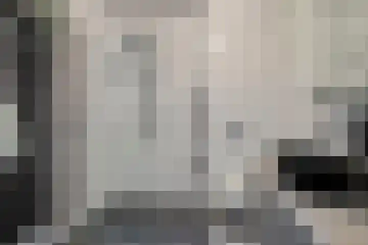 Zellingkade 8 Gouderak thumbnail 4