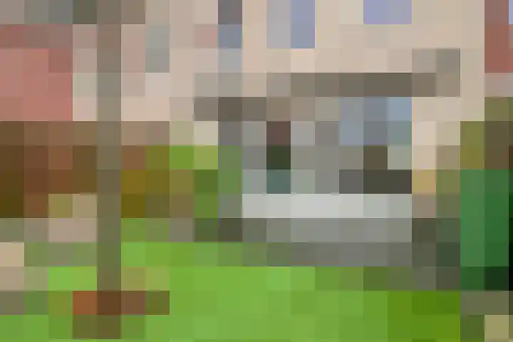 Zellingkade 8 Gouderak thumbnail 5