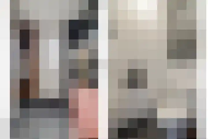 Zellingkade 8 Gouderak thumbnail 8