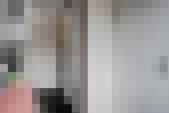 Zellingkade 8 Gouderak thumbnail 9