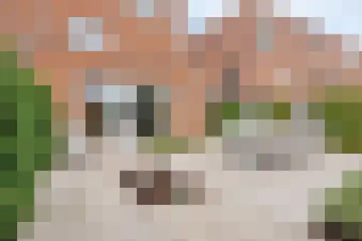 Zenderenstraat 29 Tilburg thumbnail 39