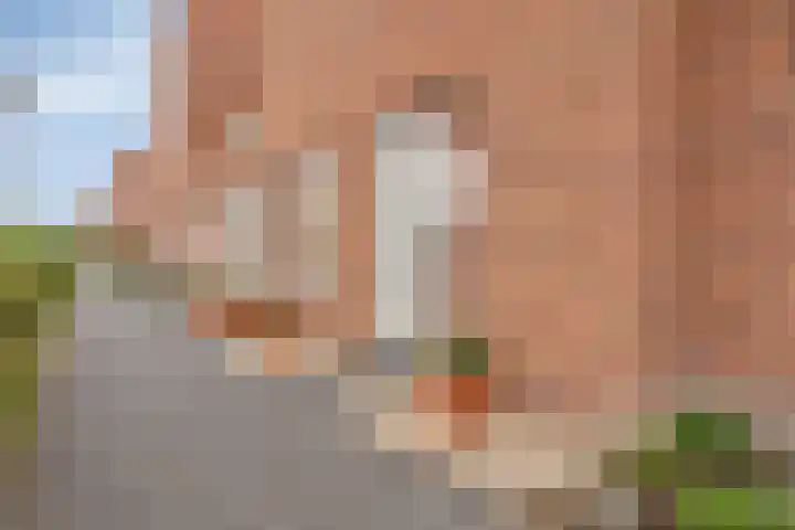 Zenderenstraat 29 Tilburg thumbnail 4