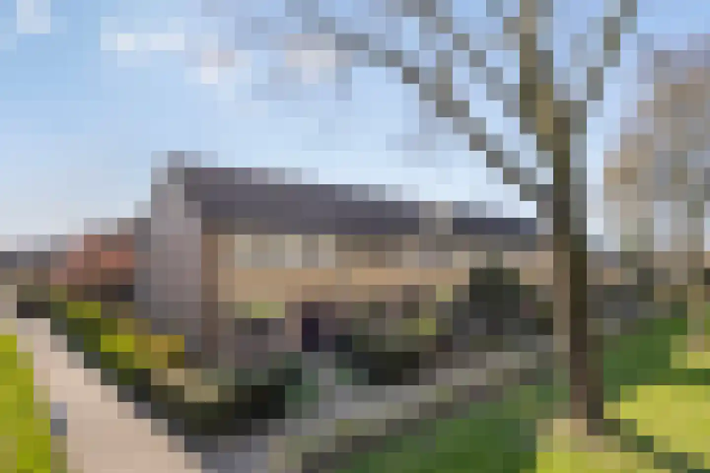 Zenegroen 6 in Kampen