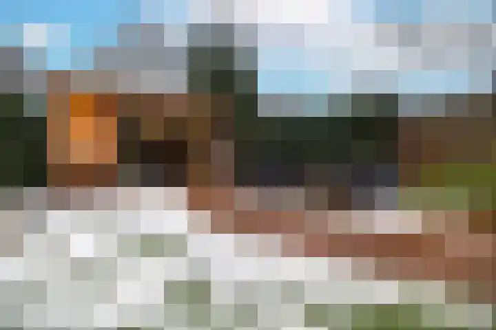 Zenegroen 62 Arnhem thumbnail 24