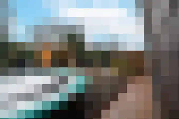 Zenegroen 62 Arnhem thumbnail 25