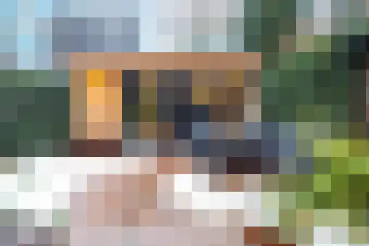 Zenegroen 62 Arnhem thumbnail 28