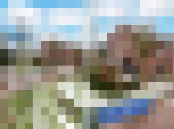 Zenegroen 62 Arnhem thumbnail 63