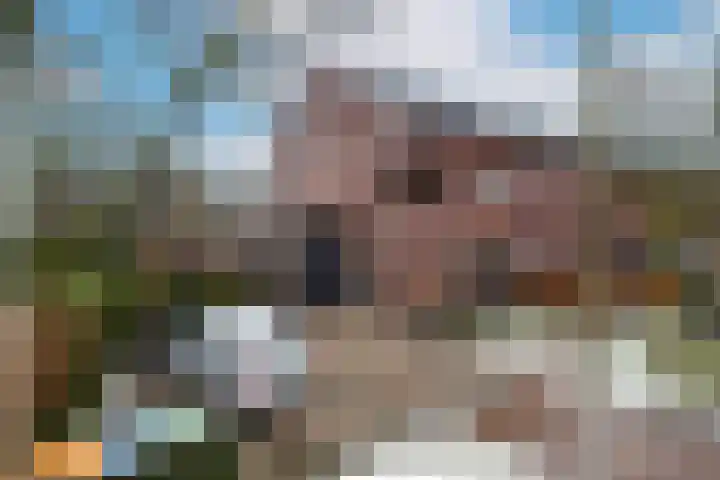 Zenegroen 62 Arnhem thumbnail 64