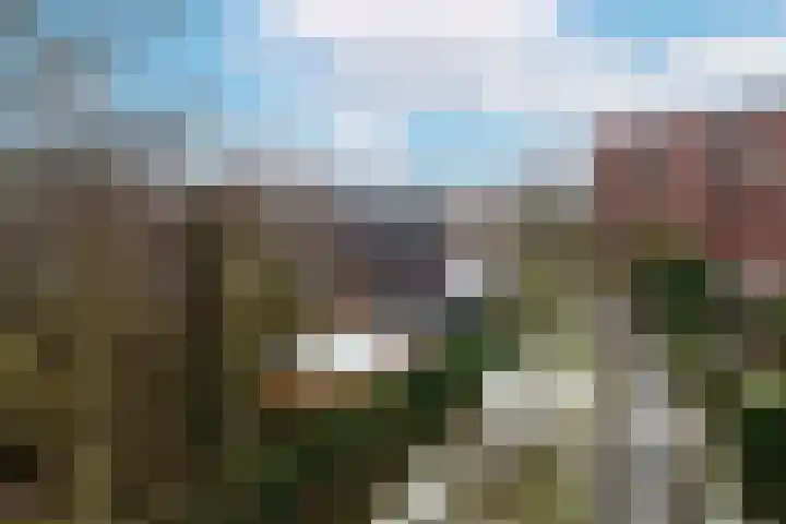 Zenegroen 62 Arnhem thumbnail 66