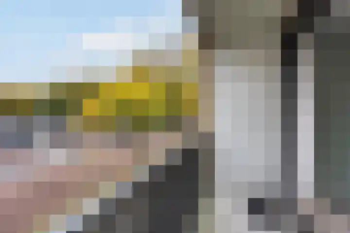 Zerboltstraat 2 K Zwolle thumbnail 12