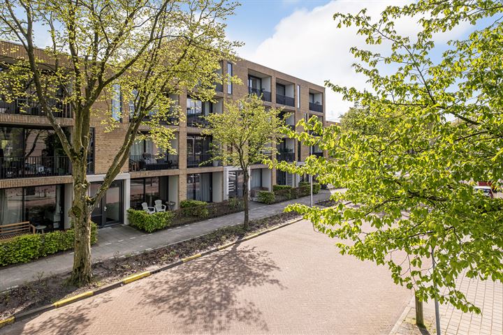 Zerboltstraat 2S in Zwolle foto