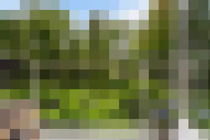Zernikeplaats 180 Rotterdam thumbnail 17