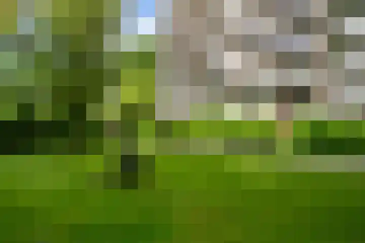 Zernikeplaats 180 Rotterdam thumbnail 25