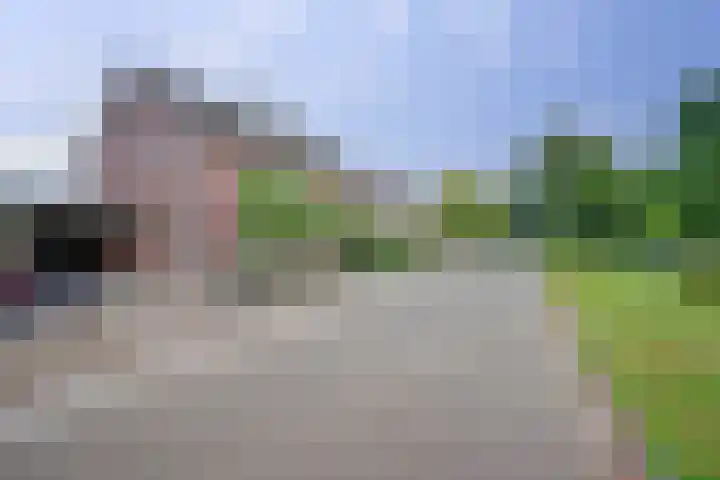 Zesbunder 50 in Breda