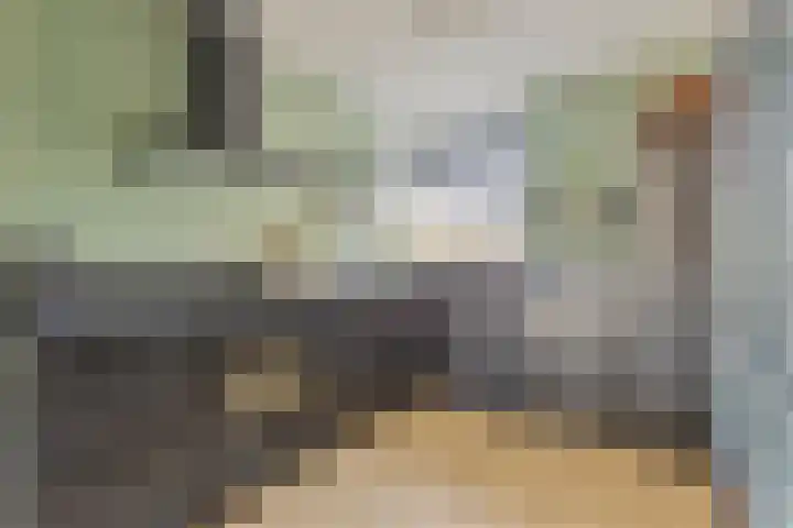 Zesbunder 50 Breda thumbnail 11