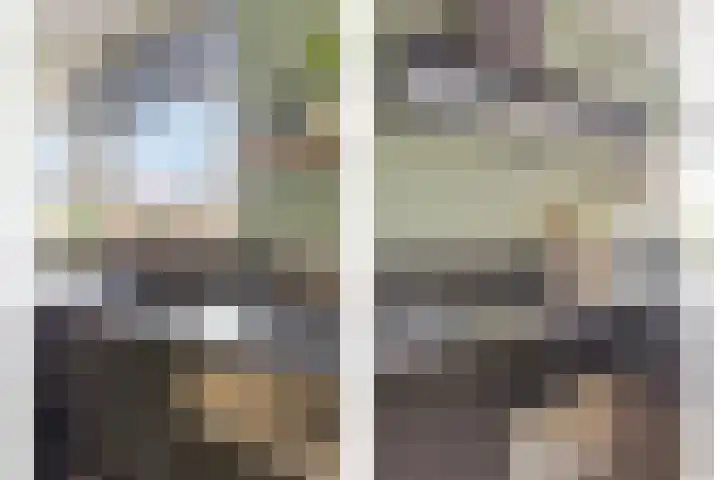 Zesbunder 50 Breda thumbnail 12