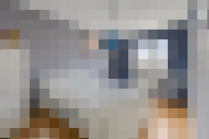 Zesbunder 50 Breda thumbnail 15