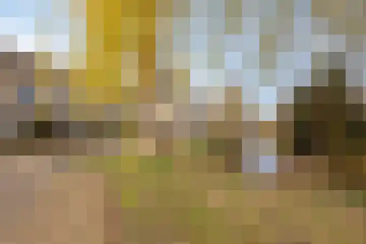 Zesbunder 50 Breda foto 2