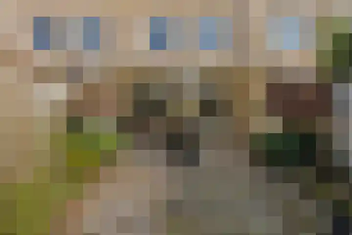 Zesbunder 50 Breda thumbnail 23