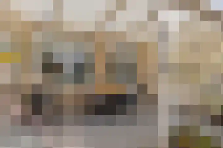 Zesbunder 50 Breda thumbnail 24