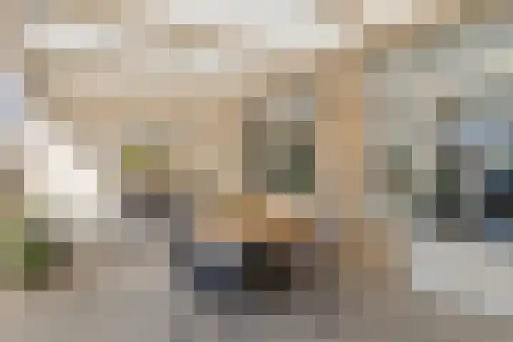 Zesbunder 50 Breda thumbnail 25