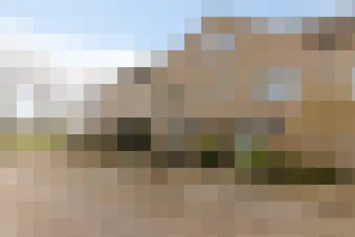 Zesbunder 50 Breda thumbnail 26