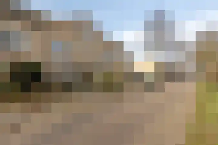 Zesbunder 50 Breda thumbnail 27