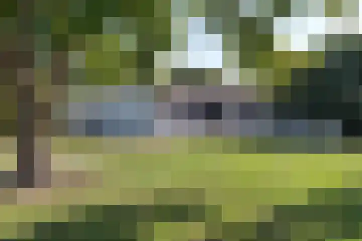 Zesbunder 50 Breda thumbnail 28