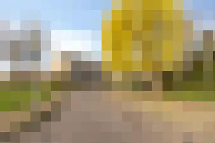 Zesbunder 50 Breda thumbnail 28
