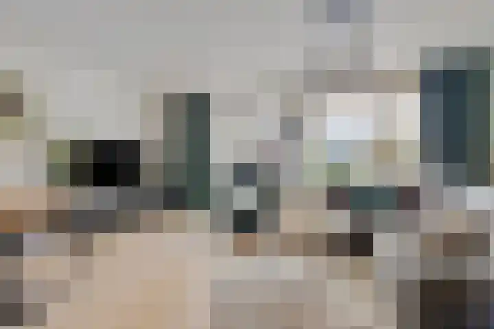 Zesbunder 50 Breda foto 3