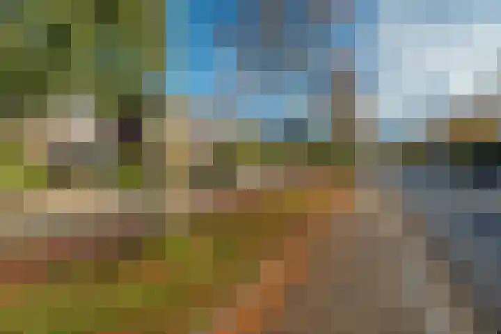 Zesbunder 50 Breda thumbnail 4