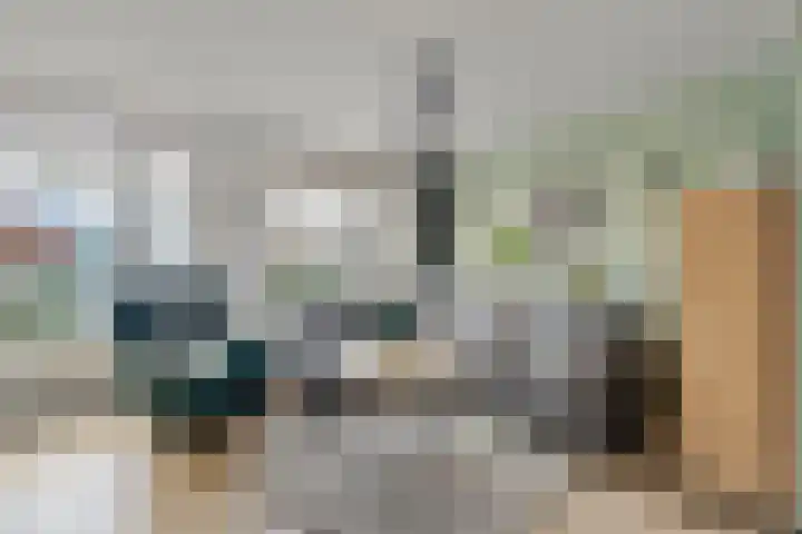 Zesbunder 50 Breda thumbnail 4