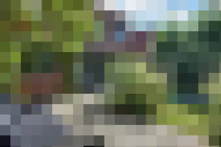 Zesde Donk 70 's-Hertogenbosch thumbnail 24