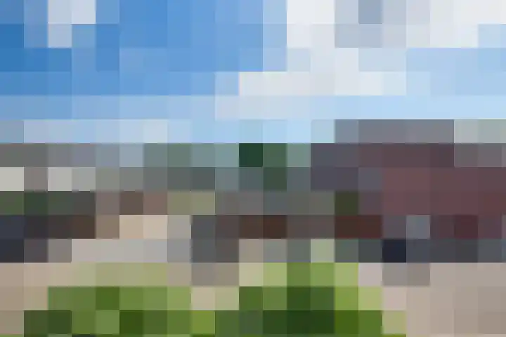 Zesde Donk 70 's-Hertogenbosch thumbnail 28