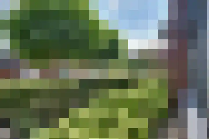 Zesde Donk 70 's-Hertogenbosch thumbnail 29